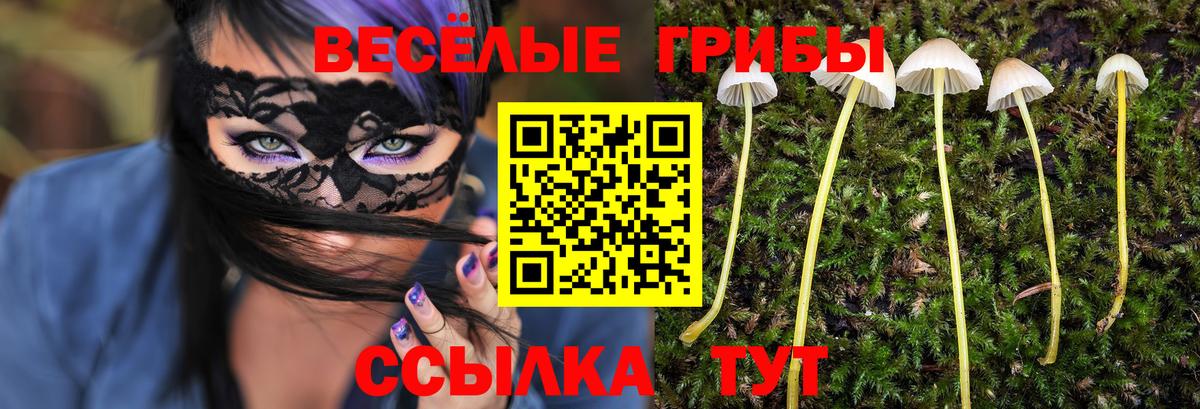 Галлюциногенные грибы MAGIC MUSHROOMS Камышин