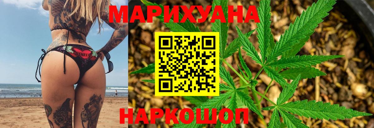 МАРИХУАНА сатива Камышин